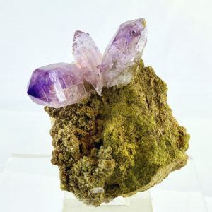 Amethyst, Kristallstufe auf Muttergestein,