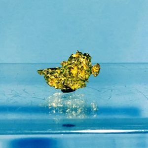 Gold Nugget, Bolivien