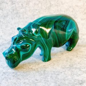 Nilpferd, Hippo, Malachit, Kongo