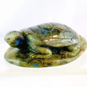 Schildkröte, Tier aus Stein, Edelstein, Labradorit, Edelsteintier
